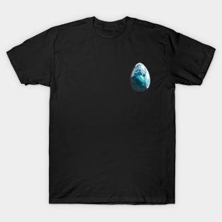 Turquoise Dofus T-Shirt